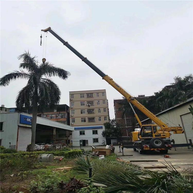 博白吊车吊大树几种方法